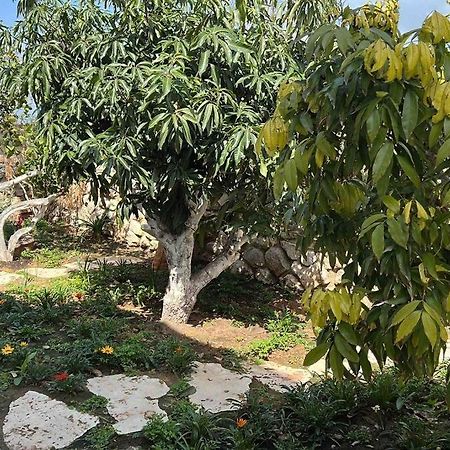 אחוזת היניבים Yaniv Estate Villa Nurit Eksteriør bilde