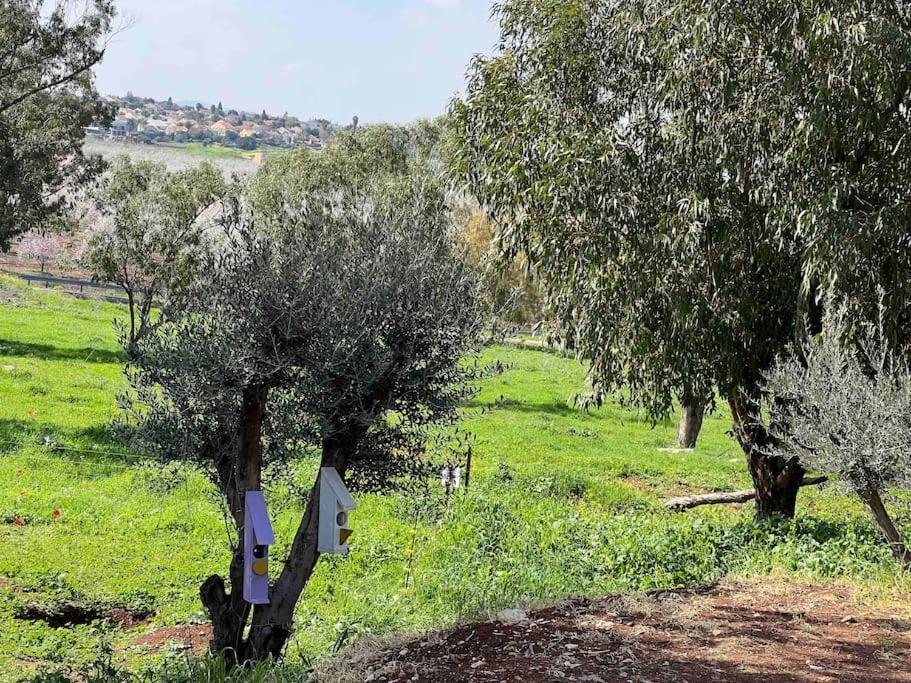 אחוזת היניבים Yaniv Estate Villa Nurit Eksteriør bilde
