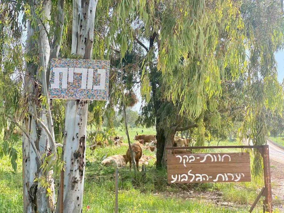 אחוזת היניבים Yaniv Estate Villa Nurit Eksteriør bilde